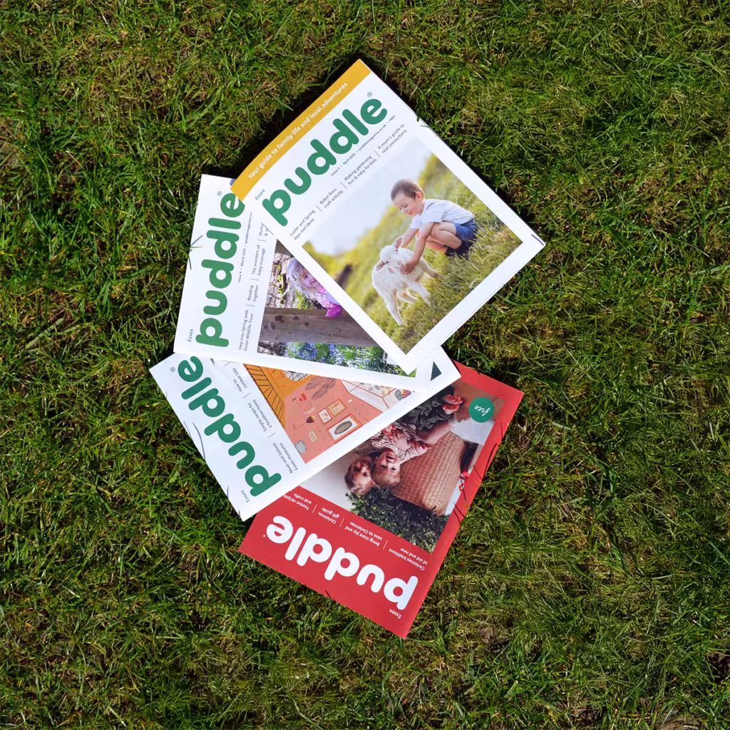 Puddle magazine franchise