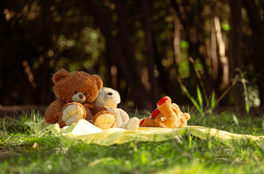 Teddy Bear’s Picnic at Cressing Temple Barns